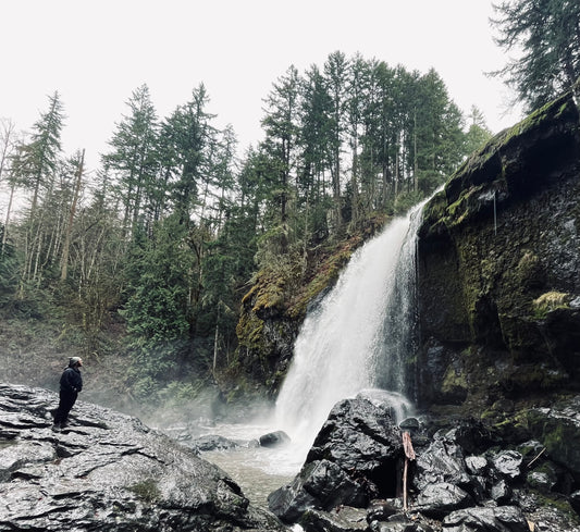 Guy standing on a rock looking up at a waterfall