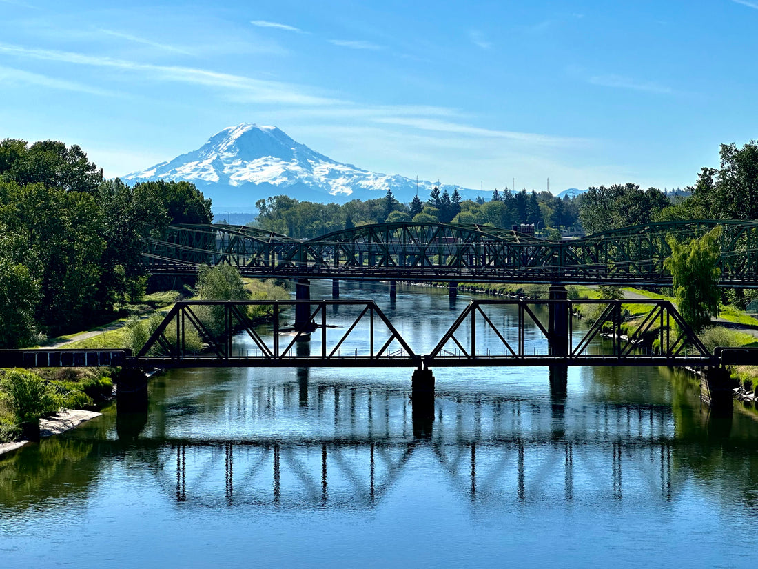 A view of the Puyallup River and Mt.Raininer with two bridges going over the river.