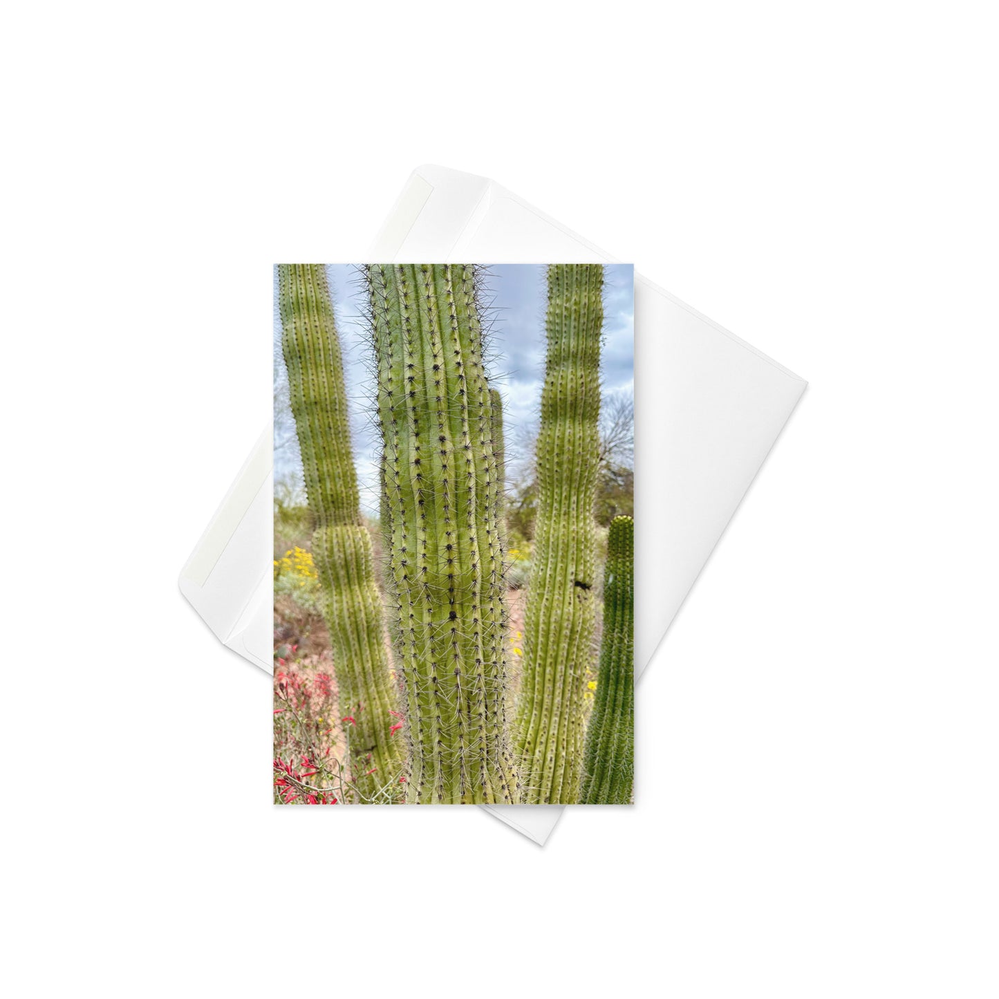 Card - Cactus 🌵