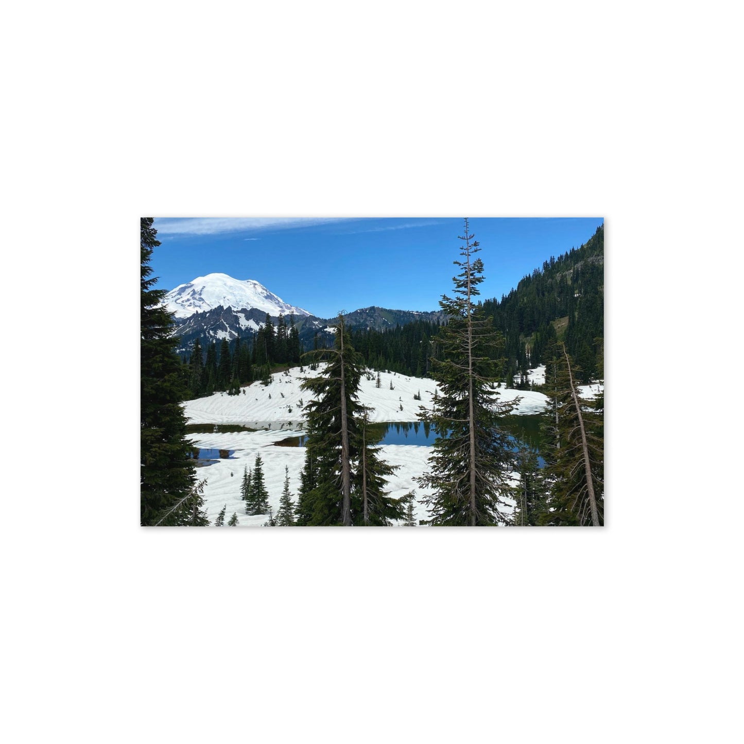 Card - Mt.Rainier