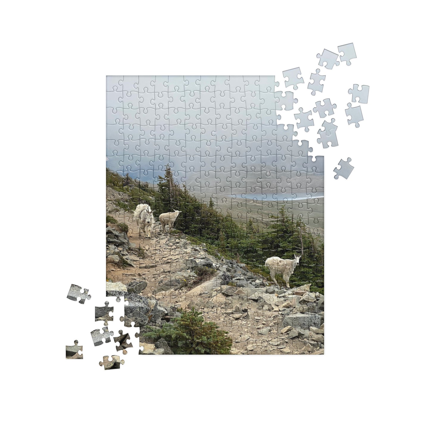 Jigsaw Puzzle - Share The Trail