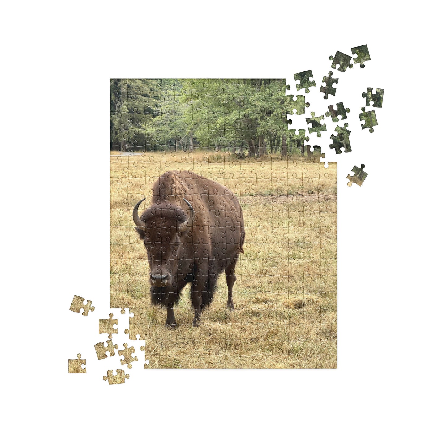 Jigsaw Puzzle - America's Mammal