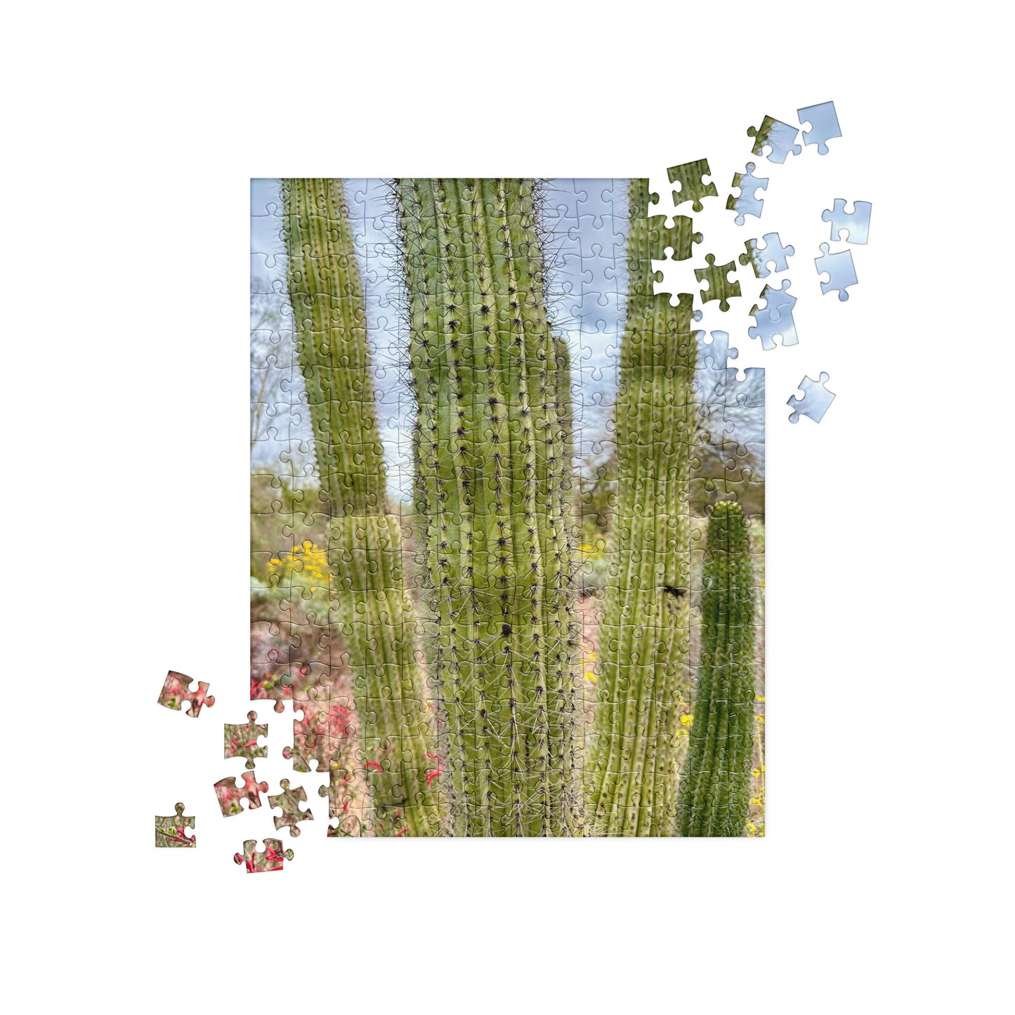 Jigsaw Puzzle - Cactus 🌵