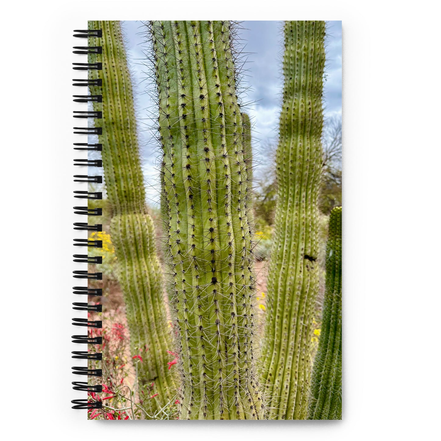 Spiral Bullet Journal - Cactus 🌵