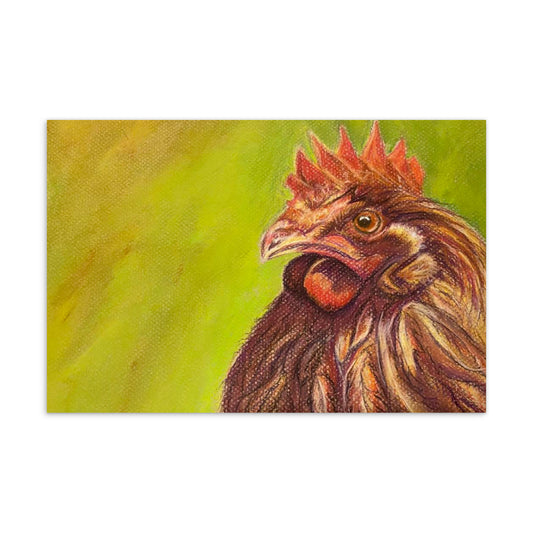 Postcard Print - Rooster